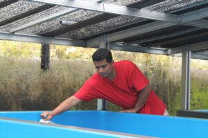 Berbekal Niat, Prima Bangkitkan Usaha Pembenihan Lele Warisan Keluarga di Kediri Berbekal Niat, Prima Bangkitkan Usaha Pembenihan Lele Warisan Keluarga di Kediri